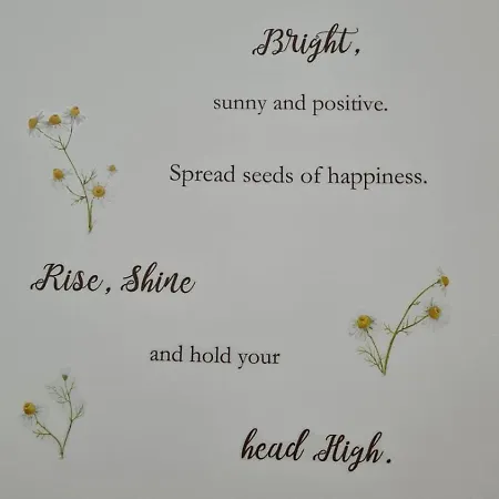 Dock Bay Hostello Hostel